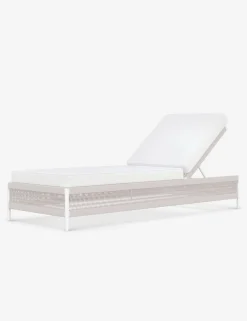 Esparza Indoor / Outdoor Chaise