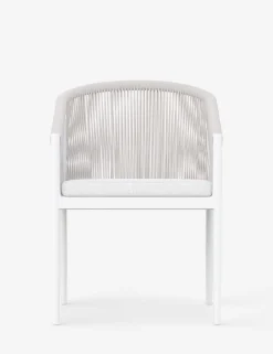 Esparza Indoor / Outdoor Dining Arm Chair