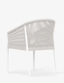 Esparza Indoor / Outdoor Dining Arm Chair