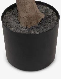 Faux Aralia Tree