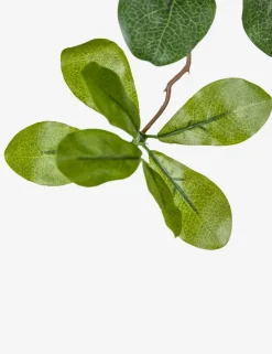 Faux Aralia Tree