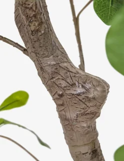 Faux Aralia Tree