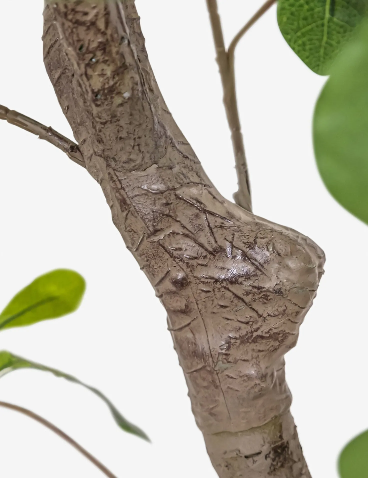 Faux Aralia Tree