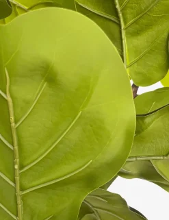 Faux Fiddle Leaf Tree
