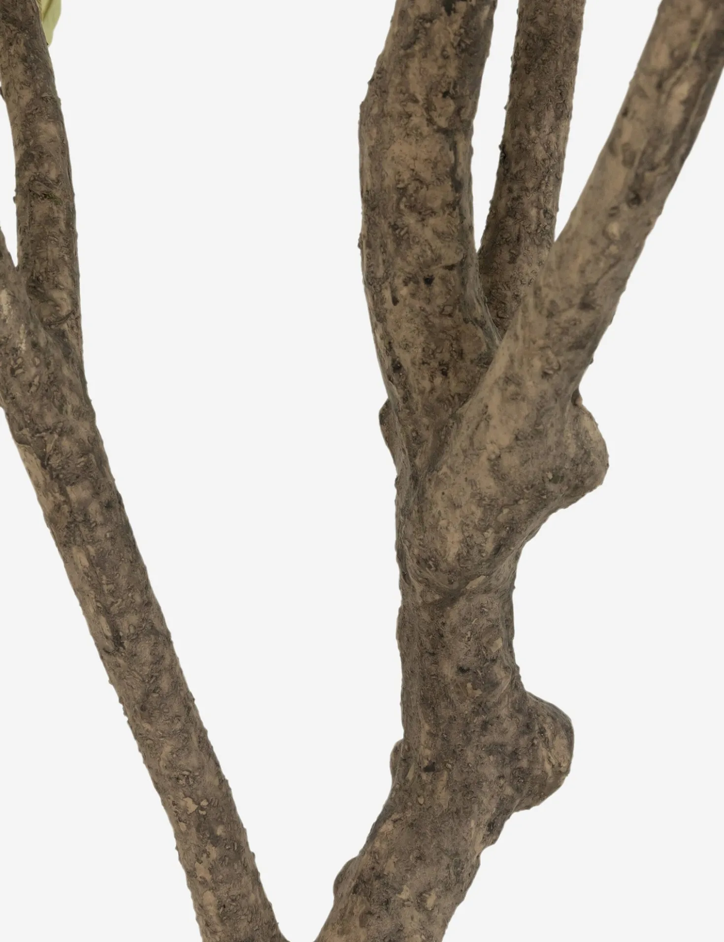 Faux Olive Tree