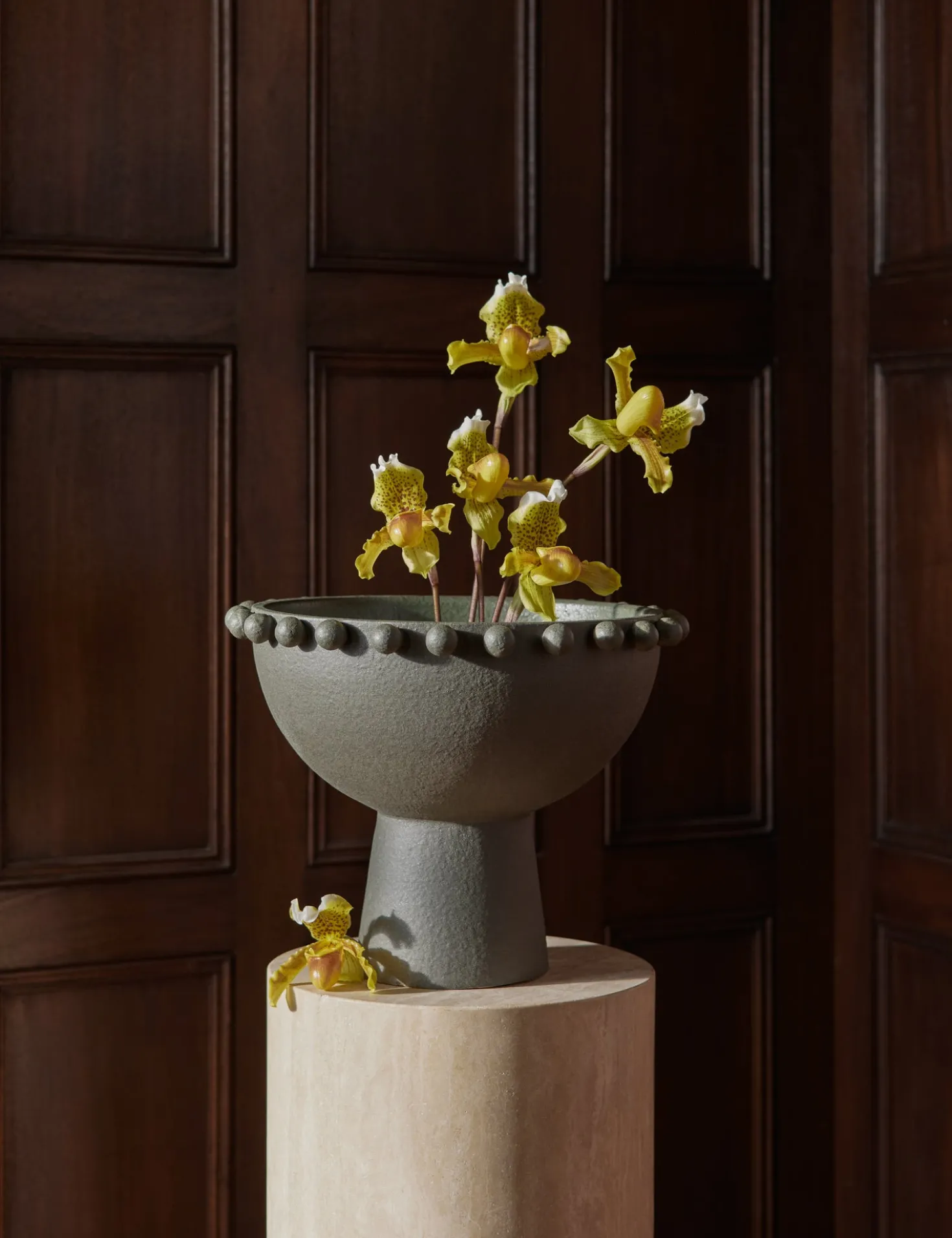 Fayette Bowl by Aimee Song
