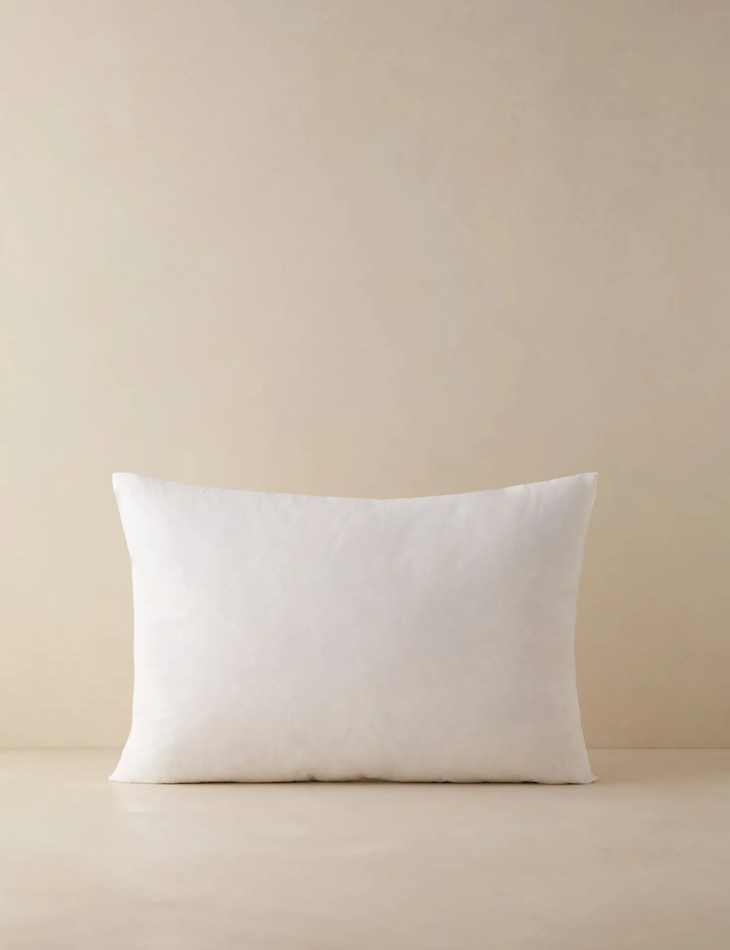 Feather Down Decorative Pillow Insert