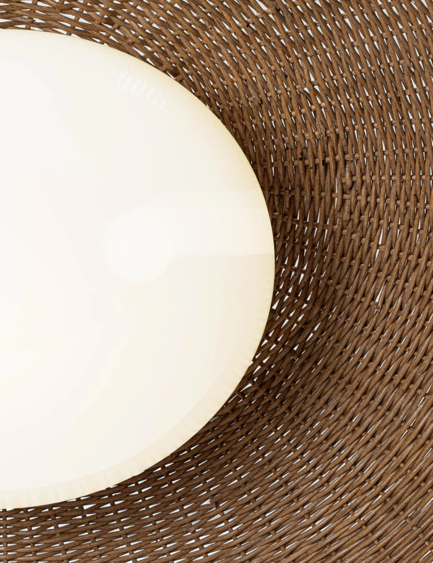 Fiora Pendant Light