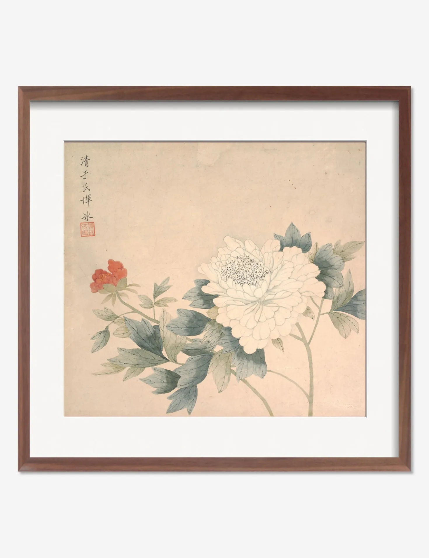 Flower Study 2 Print by Yun Bing