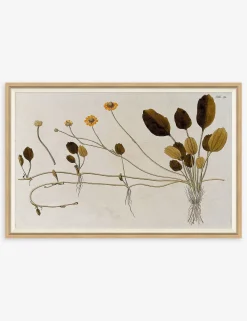 Flowering Plants II Wall Art by Franz Anton Von Scheidl