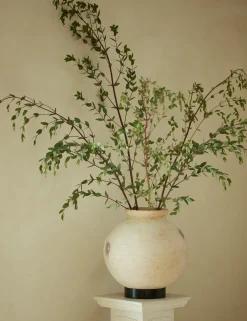 Forba Pot