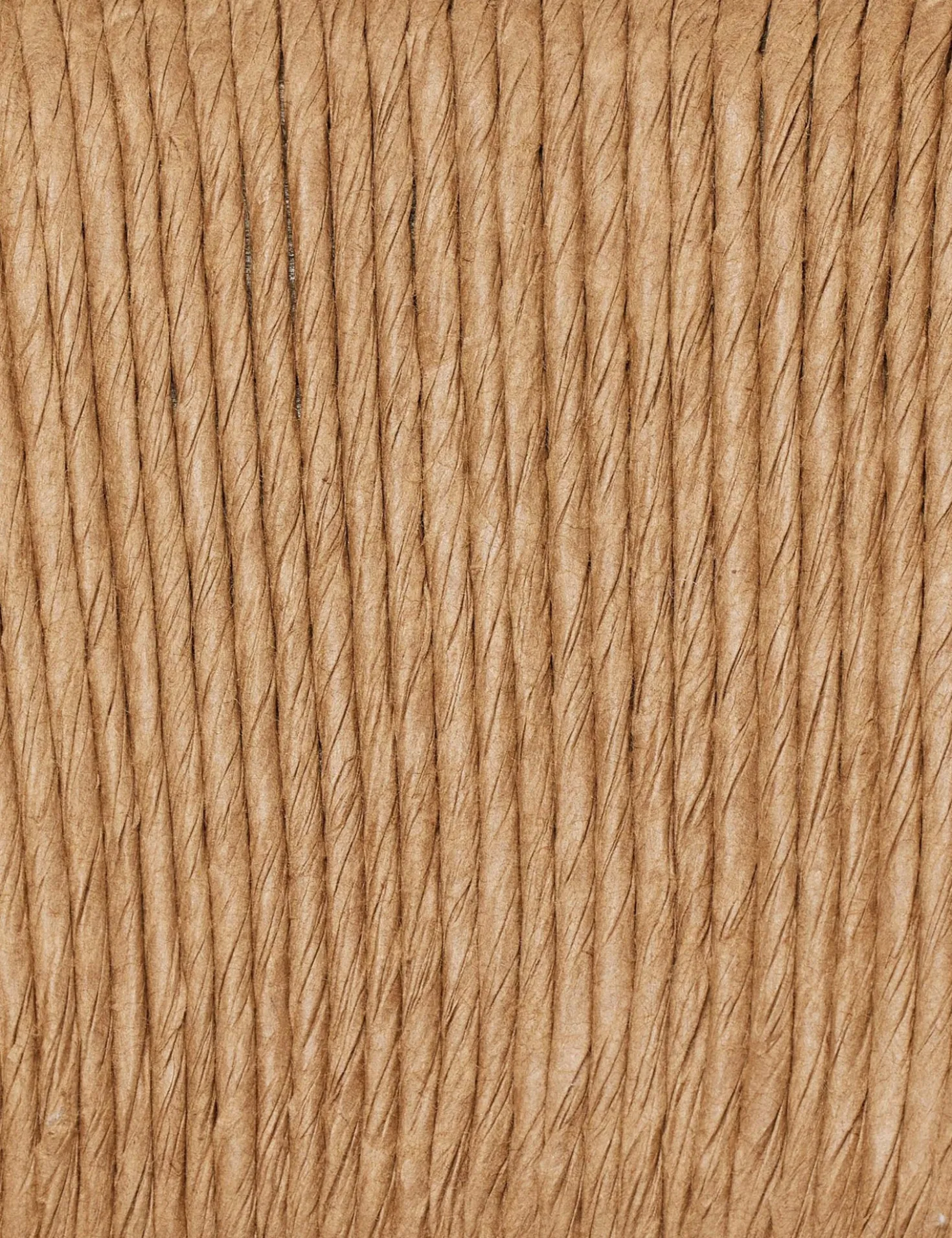 Hainey Dining Chair