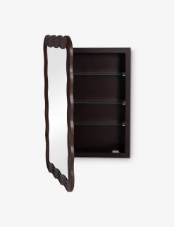 Haston Medicine Cabinet