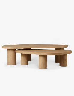 Heiko Nesting Coffee Table (Set of 2)