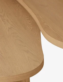 Heiko Nesting Coffee Table (Set of 2)