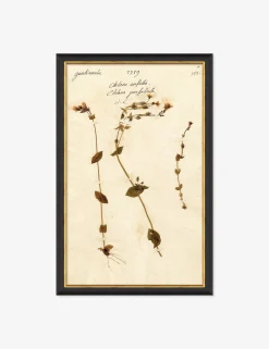 Herbarium A Wall Art
