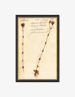 Herbarium D Wall Art