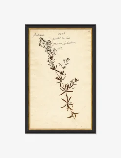 Herbarium F Wall Art