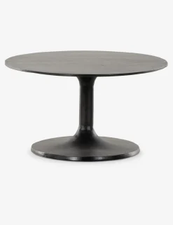 Inga Indoor / Outdoor Oval Coffee Table