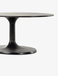 Inga Indoor / Outdoor Oval Coffee Table