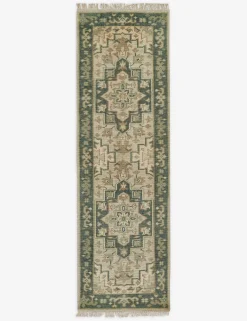 Isandro Hand-Knotted Wool Rug