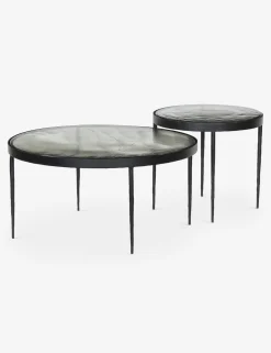 Jadene Nesting Coffee Table (Set of 2)