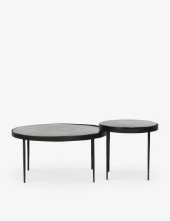 Jadene Nesting Coffee Table (Set of 2)