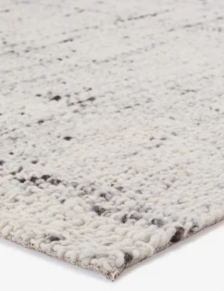 Jalen Handwoven Wool Rug