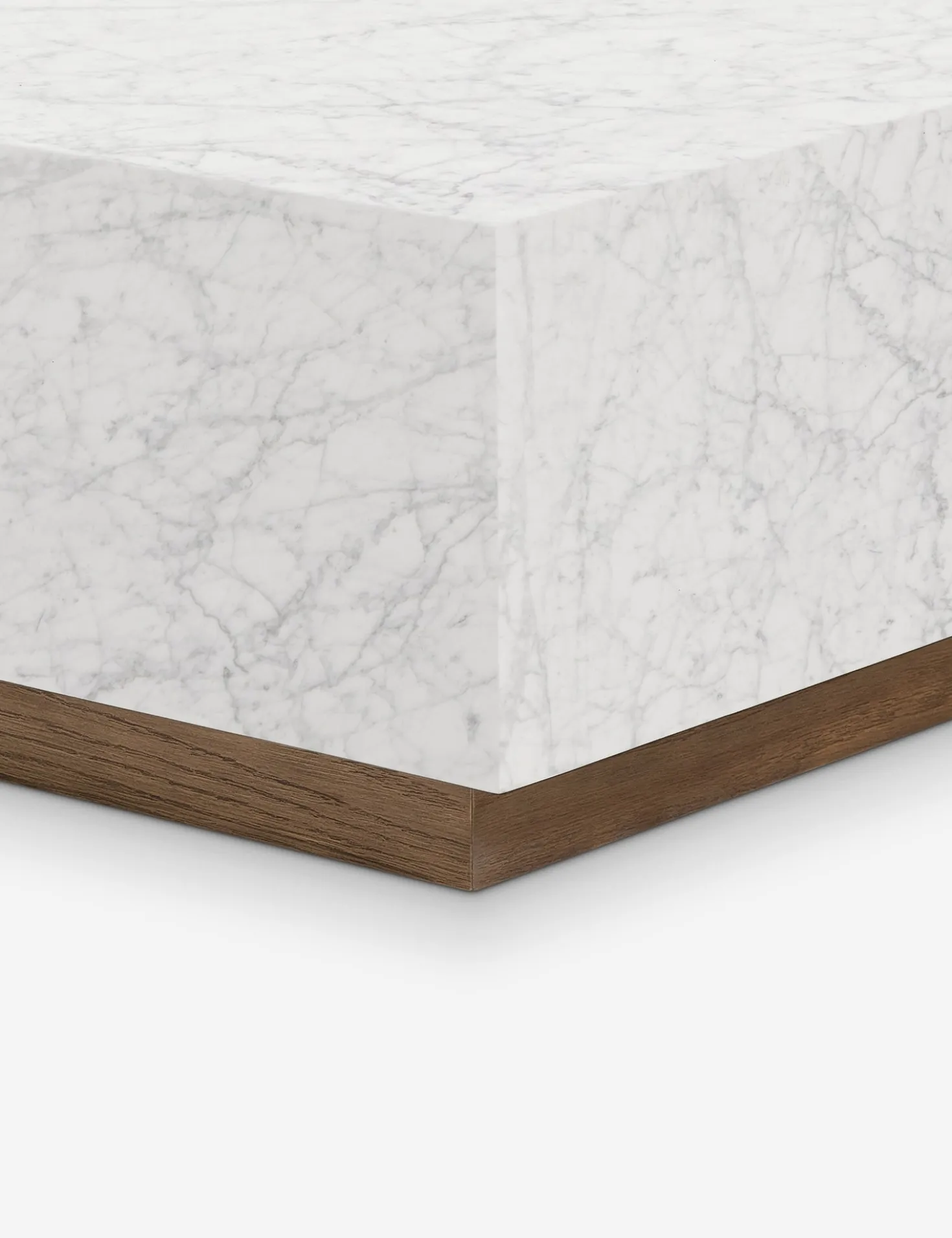 Janus Coffee Table