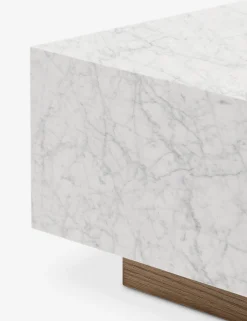 Janus Coffee Table
