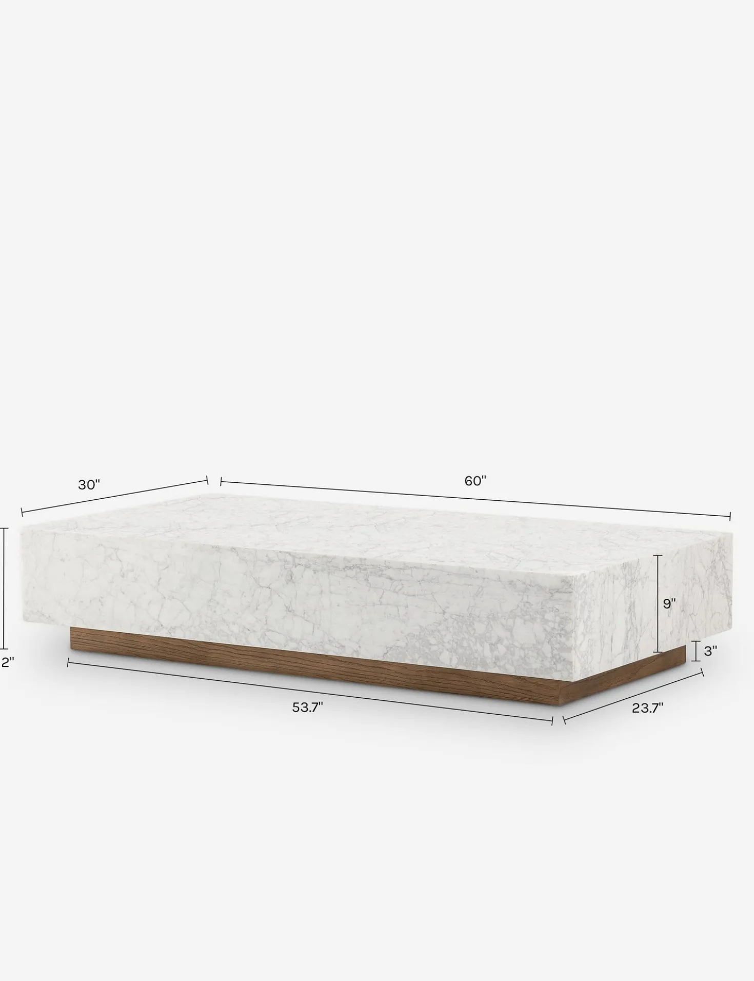 Janus Coffee Table