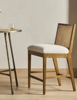 Jeni Bar and Counter Stool