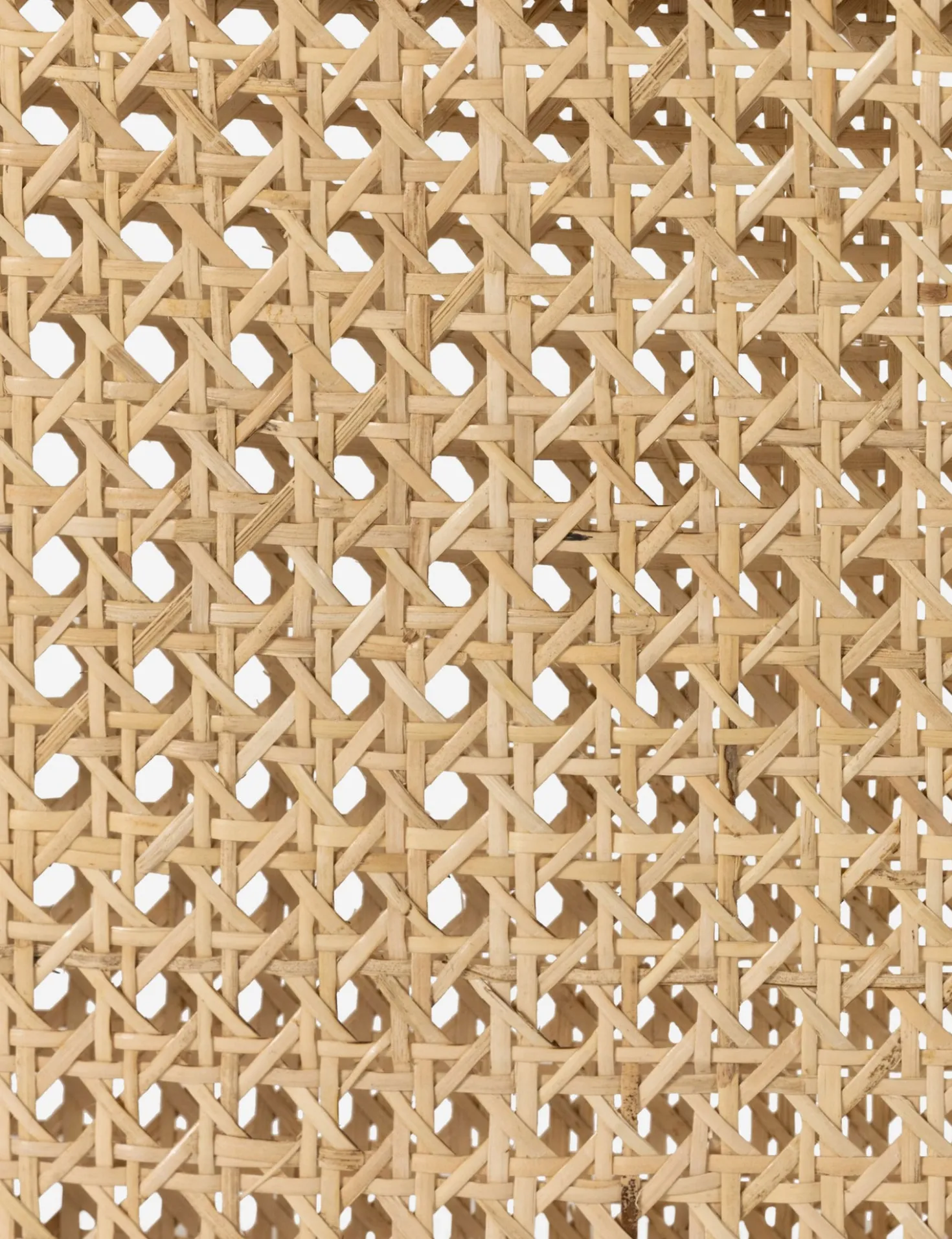 Jeni Bar and Counter Stool