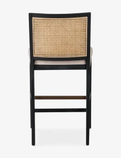 Jeni Bar and Counter Stool