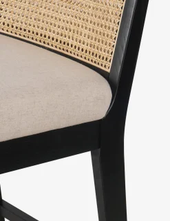 Jeni Bar and Counter Stool