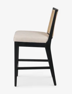 Jeni Bar and Counter Stool