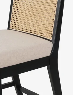 Jeni Bar and Counter Stool