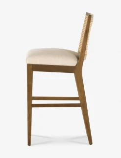 Jeni Bar and Counter Stool