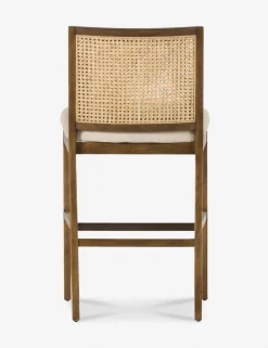 Jeni Bar and Counter Stool
