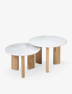 Josette Round Nesting Coffee Table (Set of 2)