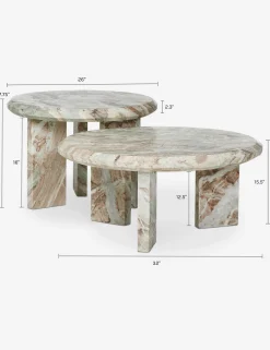Kapala Nesting Coffee Table (Set of 2)
