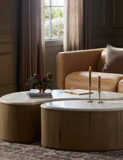 Lazaro Nesting Coffee Table (Set of 2)