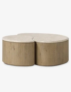 Lazaro Nesting Coffee Table (Set of 2)
