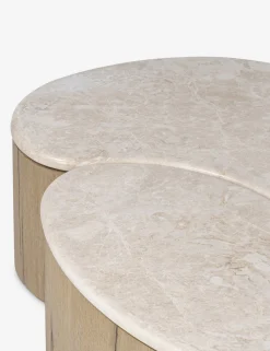 Lazaro Nesting Coffee Table (Set of 2)