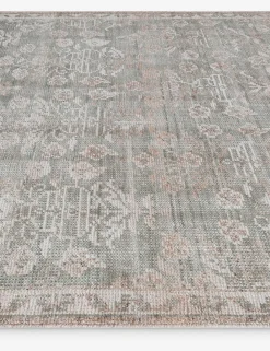 Leslie Hand-Knotted Indoor / Outdoor Rug