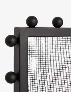 Lochlan Fireplace Screen
