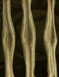 Maelis Vase