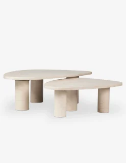Mariano Nesting Coffee Table (Set of 2)