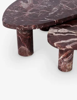 Mariano Nesting Coffee Table (Set of 2)