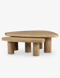Mariano Nesting Coffee Table (Set of 2)